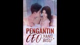 The CEO's Mute Bride eps 63 - 64 Sub Indo