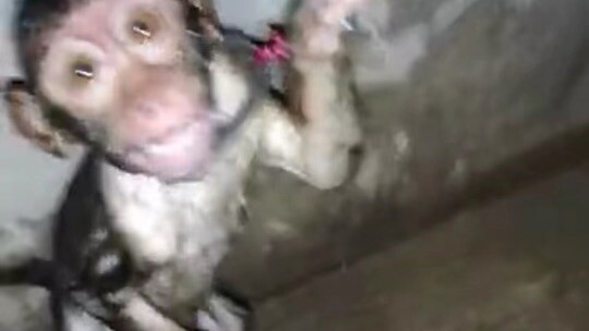 Shower time
