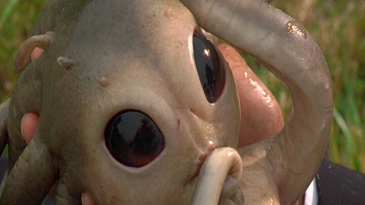 Alien bersembunyi di Bumi, menyamar sebagai manusia, dan seluruh Bima Sakti hanya seukuran kelereng