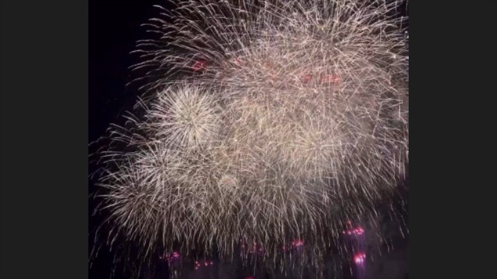 Edogawa fireworks festival