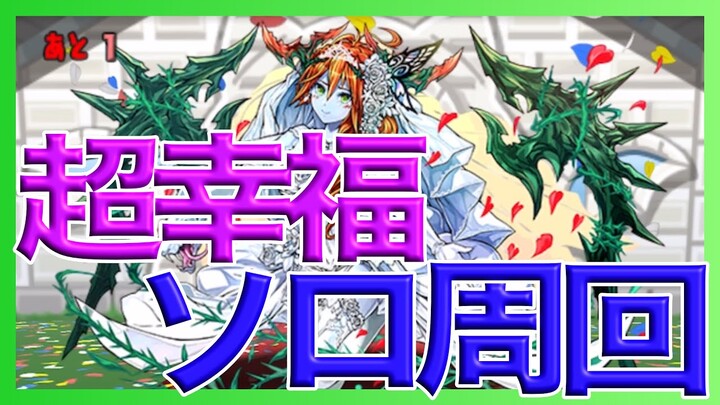 【パズドラ】ジューンブライドダンジョンをユージオ×オラージュでソロ周回【超幸福】