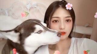 Cười Sảng Khoái Với Chó Mèo Hài Hước | Khoảnh Khắc Vui Nhộn | Try Not To Laugh Funny Dog Compilation