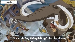 Top 6 Lệnh Truy Nã Mới Nhất Trong One Piece 2018 #1- 5