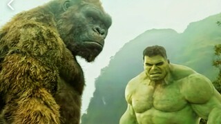 [Siêu Anh Hùng] Người Khổng Lồ Xanh VS King Kong, ai mạnh hơn?