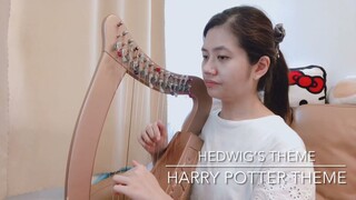 Hedwig’s Theme from Harry Potter Movie - 15 string harp