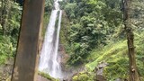 Gitgit Waterfall Tertinggi di Buleleng Singaraja!
