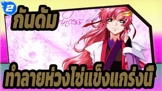 กันดั้ม |[SEED]โปรดให้พลังแก่เราที่จะทำลายห่วงโซ่แข็งแกร่งนี้!_2