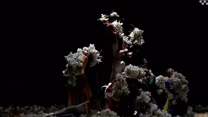 [Flower Burial][Dream of the Red Chamber][Dance Classics] I burst into tears and I could get goose b