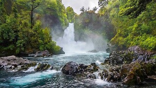 Río - Lufebear