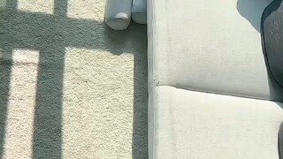 客厅里的姨姨