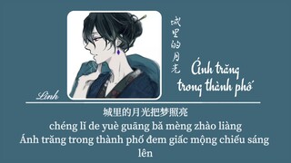 [Vietsub] Ánh trăng trong thành phố • Vương Tử Kỳ ♪ 城里的月光 • 王梓琪