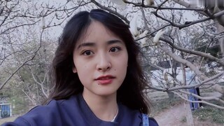 Tôi thực sự thích vlog của Shen Yue. Cô ấy dường như đang dạy chúng tôi trở thành những người trưởng