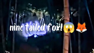 nine tailed fox9⃣🦊✨