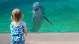 A dolphin and a toddler, is this real??