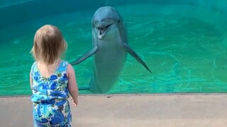 A dolphin and a toddler, is this real??