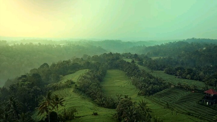 ada apa dengan sandal pak kyai