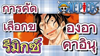 [วันพีซ] รีมิกซ์ |   การคัดเลือกของอาคาอินุ