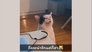 อดขำไม่ได้จริงๆ