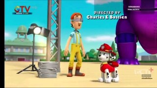 paw patrol musim 5 Episode 17 dan 18 Bahasa indonesia Global tv