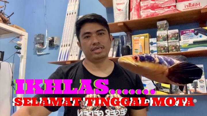 SEMINGGU SETELAH KEMALINGAN…