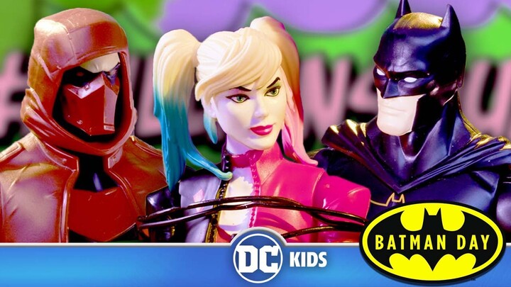A Harley Quinn Celebration | Batman Toy Adventures | #SpinMaster | @DC Kids