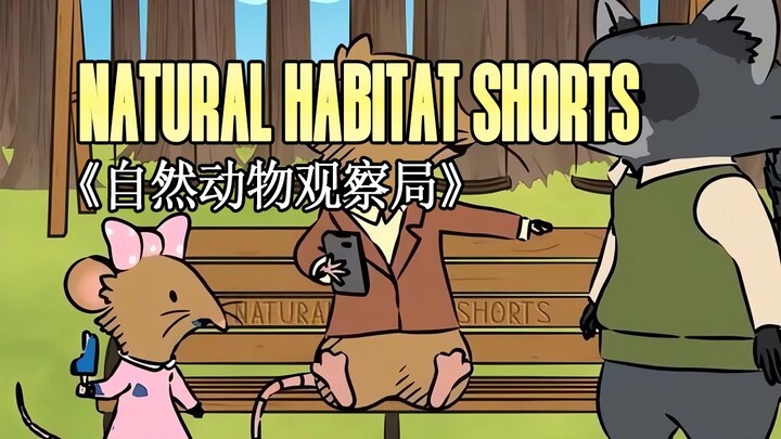230323《自然动物观察局》- Natural Habitat Shorts
