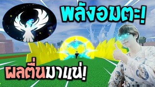 Blox Fruits : เล่นผลฟีนิกซ์ล่าค่าหัวรอเป็นผลตื่น! พลังอมตะขนาดไม่ตื่นก็โหดแล้ว!?
