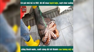 Bạch tuộc hơn 2 triệu ở cống thoát nước thành cao lương mỹ vị | LT Review