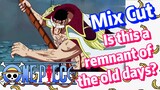 [ONE PIECE]   Mix Cut |  Is this a remnant of the old days?