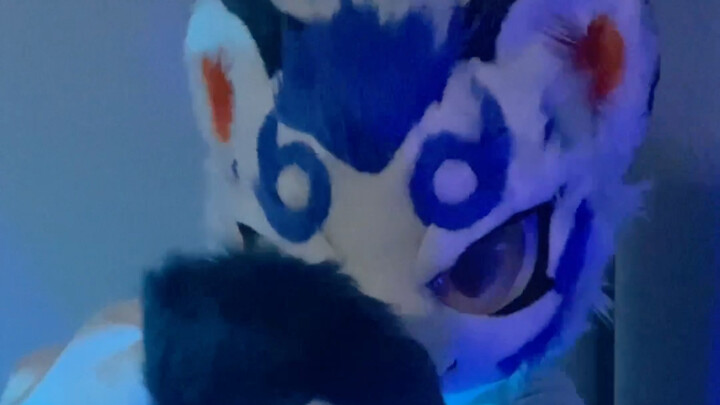 [Fursuit Dance] LINK KLIK op, tapi Fury?