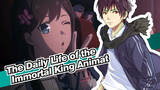 [The Daily Life of the Immortal King/Animatic] MV Mixed Edit