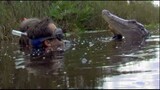 wildboyz.s01e03