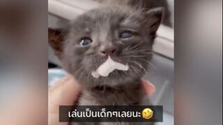 ติดตลกตลอด 555