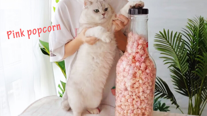 [Proses memasak] Popcorn peri harus berwarna merah muda!!