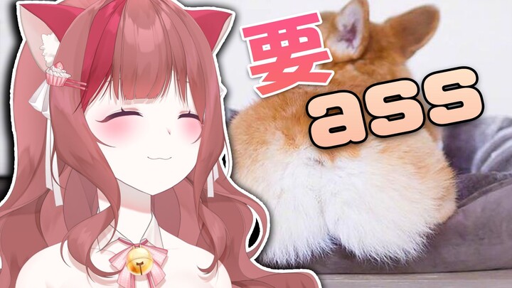 虚拟主播都需要大ass的外国主播【LuckyCupcake】