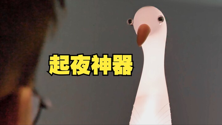 我做了一个盯着我上厕所的灯......