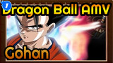 [Dragon Ball AMV] Gohan: Protect Something More Valuable Than Life_1