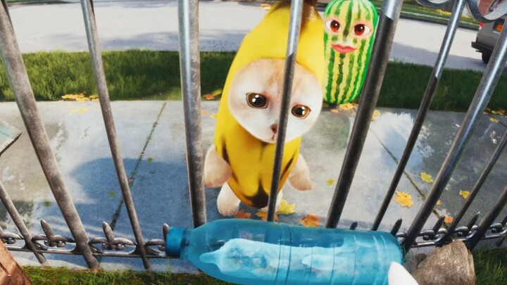 Come help Banana Cat (from another perspective)