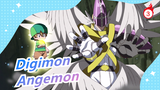 Digimon| Thức tỉnh！Angemon!|Thánh Angemon!_3