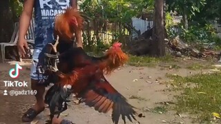👌