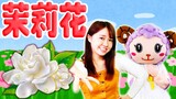 茉莉花 兒童歌曲|童謠|兒歌 | Mo Li Hua | Jasmine Flower | Mandarin Kids Song