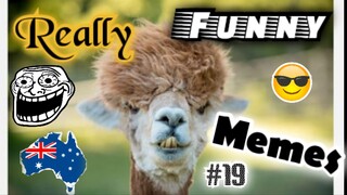 Really Funny Meme Video #19