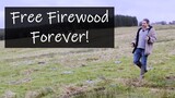 Is it really possible to grow firewood in just a few years?