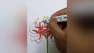 hoa bỉ ngạn nở trong vẽ tranh ra gặp hai bướm xinh hoabingan drawing drawingart vehoabingan stayhomecovid19 drawingflower