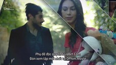 Hoa Máu EP 267 [Sub Việt]