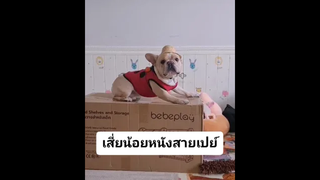 ท่านลอร์ดหนังให้ของขวัญน้องเรมี