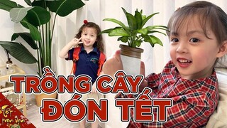 Trồng cây mới đón tết cùng gia đình Cam Vlog 164