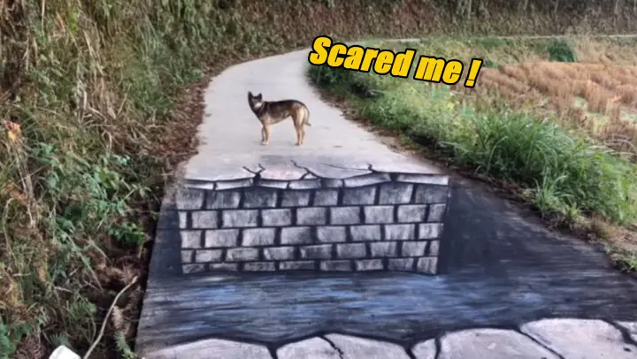 [Drawing]A Broken-Road Drawing Nearly Scares The Hell Out Of A Dog