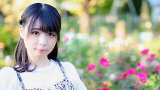 เต้นคัฟเวอร์เพลง さようなら、花泥棒さん