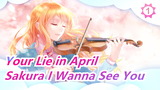 [Your Lie in April] Sakura I Wanna See You_1